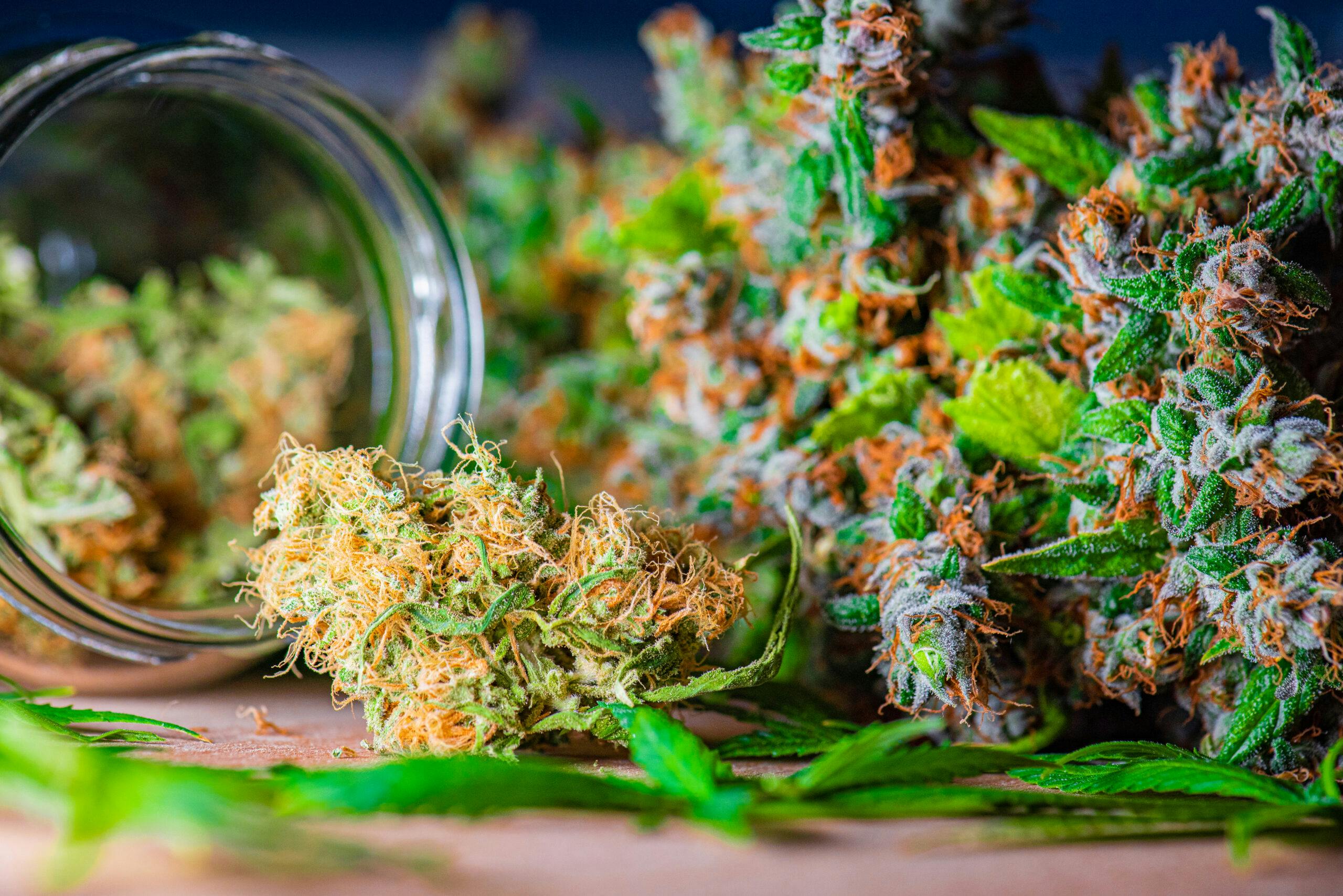 What You Need To Know About Smoking Marijuana?