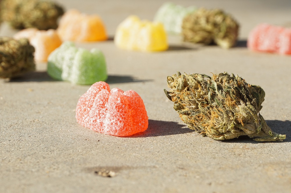 Edibles or Smoking: A Hot Topic in the Cannabis Community