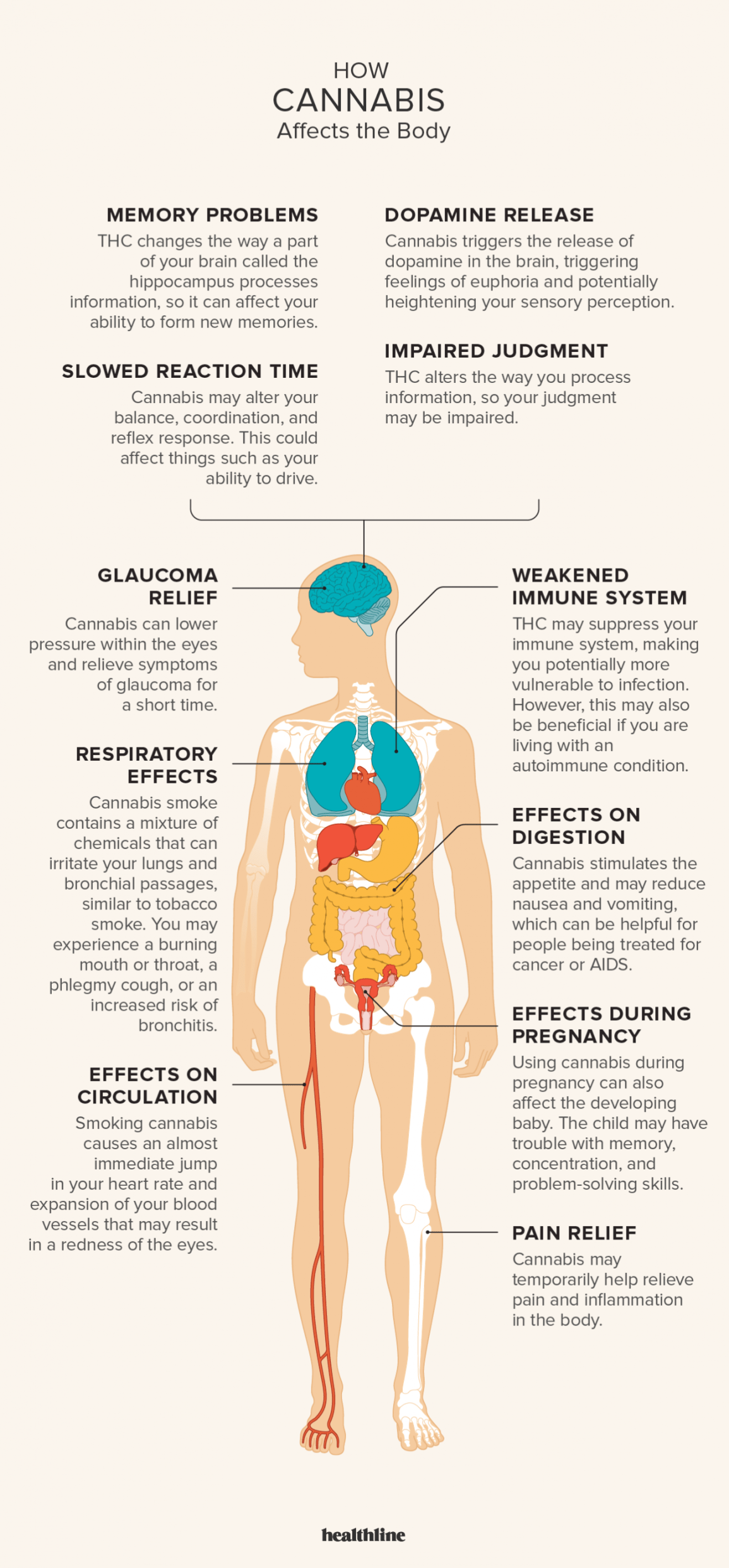 What you need to know about smoking marijuana (1).png